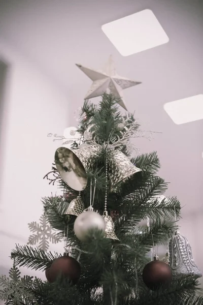 Dennen Kerstboom Cadeau — Stockfoto