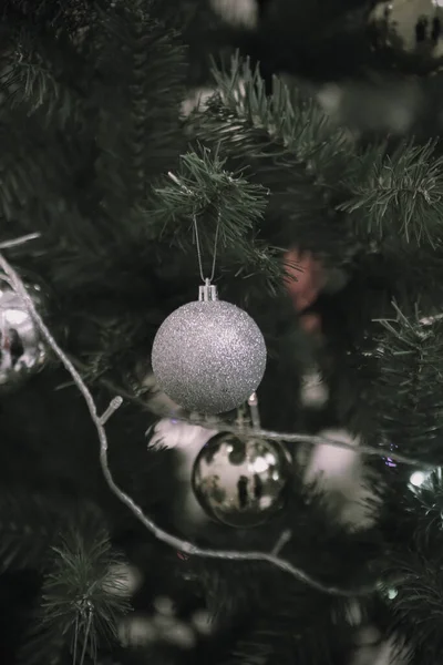 Pine Christmas Tree Gift — Stock Photo, Image