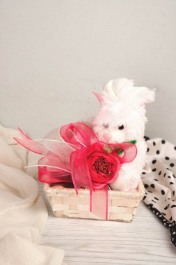 bir sürü değişik çikolatalı pralin