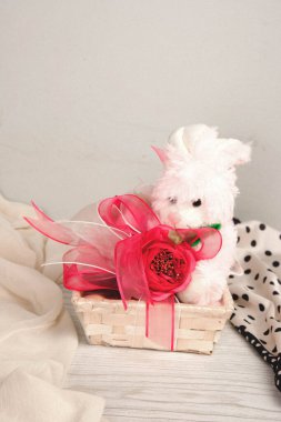 bir sürü değişik çikolatalı pralin