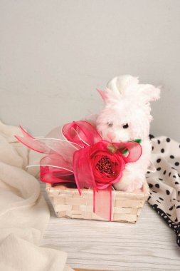 bir sürü değişik çikolatalı pralin