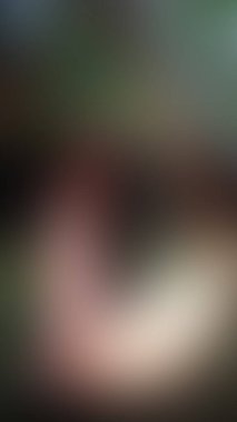 Bulanık arkaplan dokusu temasıName