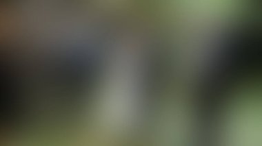 Bulanık arkaplan dokusu temasıName