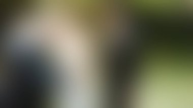 Bulanık arkaplan dokusu temasıName