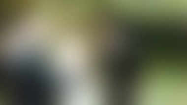 Bulanık arkaplan dokusu temasıName