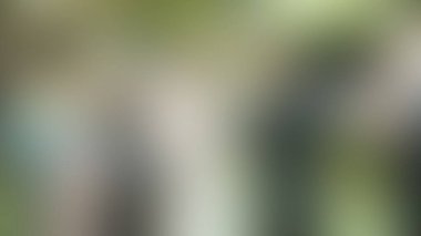 Bulanık arkaplan dokusu temasıName