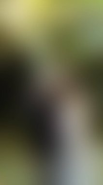 Bulanık arkaplan dokusu temasıName