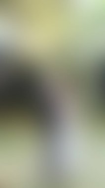 Bulanık arkaplan dokusu temasıName