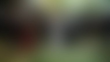 Bulanık arkaplan dokusu temasıName