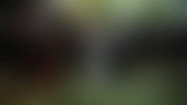 Bulanık arkaplan dokusu temasıName