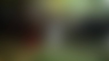 Bulanık arkaplan dokusu temasıName