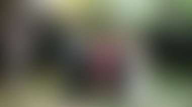 Bulanık arkaplan dokusu temasıName