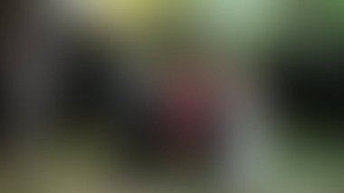 Bulanık arkaplan dokusu temasıName