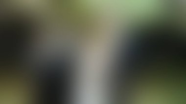 Bulanık arkaplan dokusu temasıName