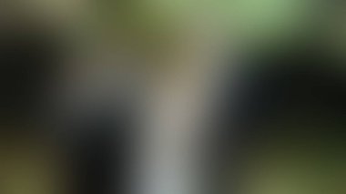 Bulanık arkaplan dokusu temasıName