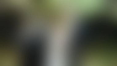 Bulanık arkaplan dokusu temasıName