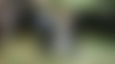 Bulanık arkaplan dokusu temasıName