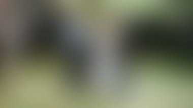 Bulanık arkaplan dokusu temasıName