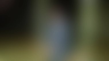 Bulanık arkaplan dokusu temasıName