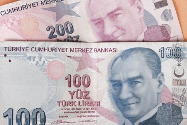 Türk para birimi ve Türk lireti banknotları
