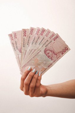 Türk para birimi ve Türk lireti banknotları