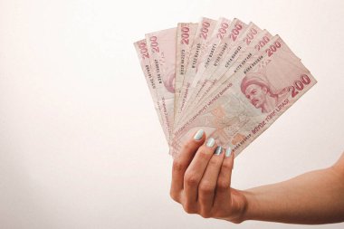 Türk para birimi ve Türk lireti banknotları