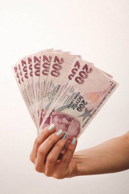 Türk para birimi ve Türk lireti banknotları