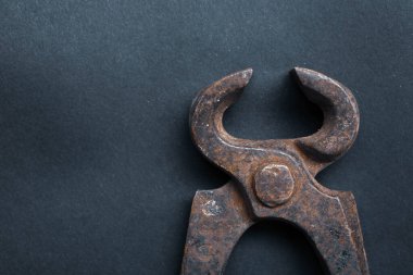 Bir çift paslı meme ucu.