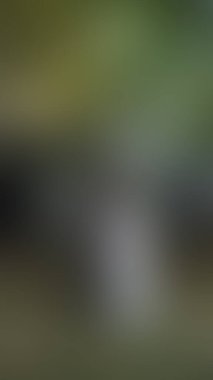 Bulanık arkaplan dokusu temasıName