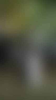 Bulanık arkaplan dokusu temasıName