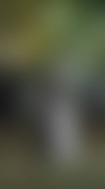 Bulanık arkaplan dokusu temasıName