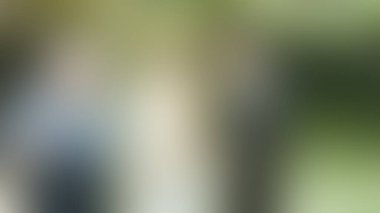 Bulanık arkaplan dokusu temasıName