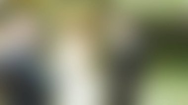 Bulanık arkaplan dokusu temasıName