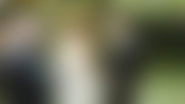 Bulanık arkaplan dokusu temasıName