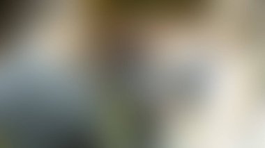 Bulanık arkaplan dokusu temasıName