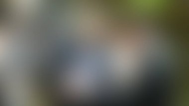 Bulanık arkaplan dokusu temasıName