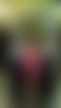 Bulanık arkaplan dokusu temasıName