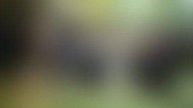 Bulanık arkaplan dokusu temasıName