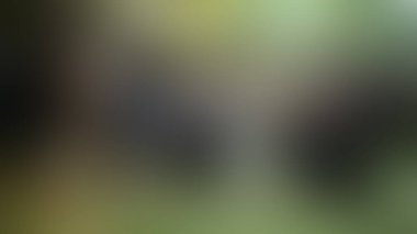 Bulanık arkaplan dokusu temasıName