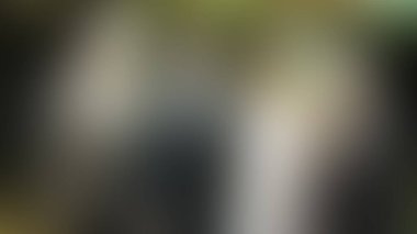 Bulanık arkaplan dokusu temasıName