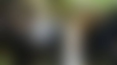 Bulanık arkaplan dokusu temasıName