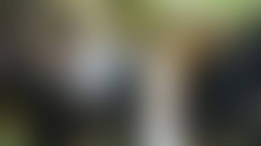 Bulanık arkaplan dokusu temasıName