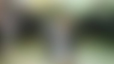 Bulanık arkaplan dokusu temasıName