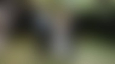 Bulanık arkaplan dokusu temasıName