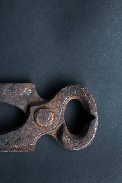 Old Well Used Pair Rusty Nippers — Stock Photo, Image