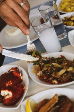 Özel Alkollü İçkili Rakılı Türk ve Yunan Geleneksel Yemek Masası. Uzo ve Türk Rakısı, Türkiye, Yunanistan, Kıbrıs ve Lübnan'da yaygın olarak tüketilen kuru anason aromalı bir aperatiftir.