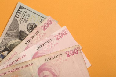 Türk Lirası ve Amerikan Doları