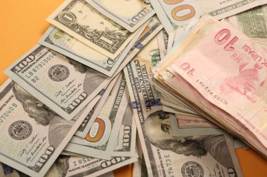 Türk Lirası ve Amerikan Doları