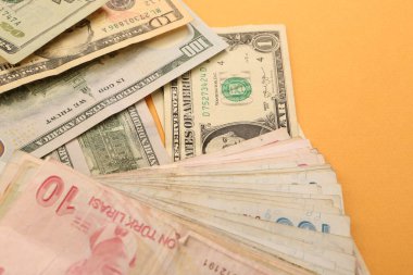 Türk Lirası ve Amerikan Doları