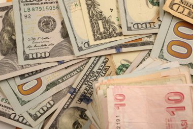 Türk Lirası ve Amerikan Doları